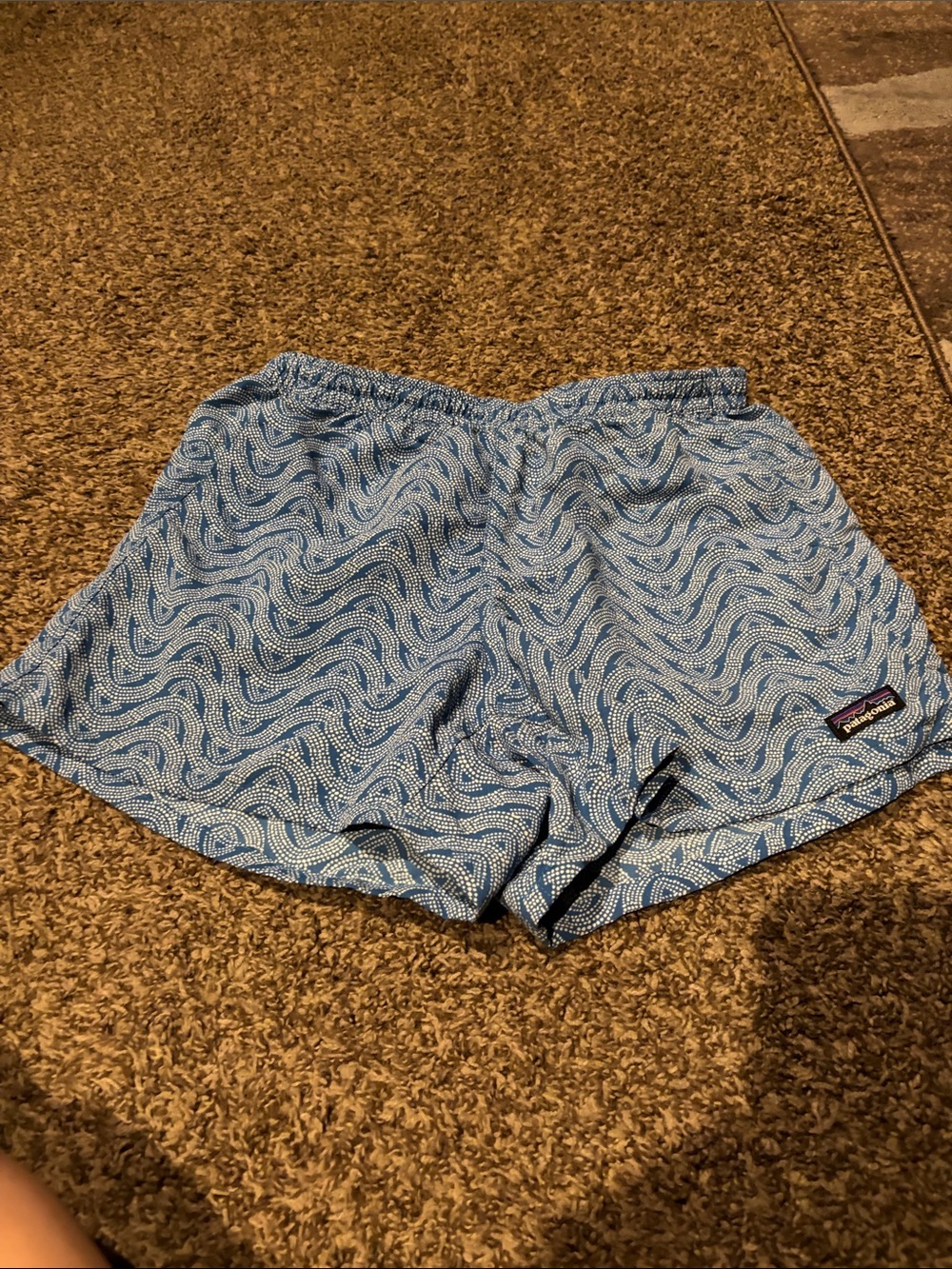 Patagonia Blue Wave-Print Athletic Shorts